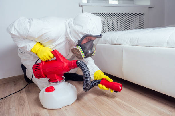 Professional Pest Control in Gratton, VA