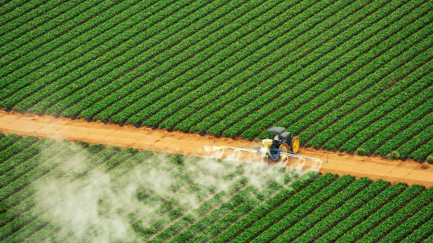 Best Pest Control for Restaurants  in Gratton, VA